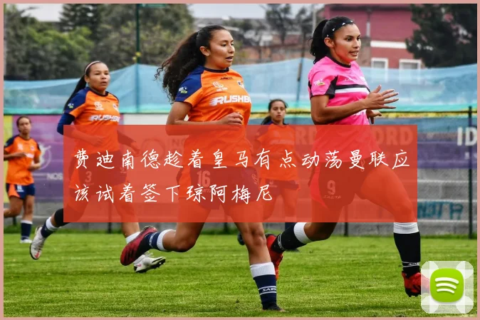 费迪南德趁着皇马有点动荡曼联应该试着签下琼阿梅尼
